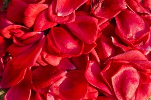 61b8f21a93ff76867205622a7ff32ead_s