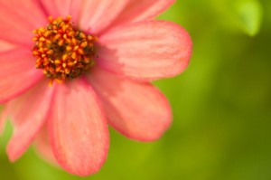 8df998d97cb036c8edef78468d797aea_s