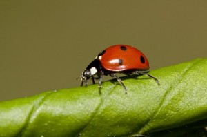 d8b98d490e664240ea74a2135fb9abda_s