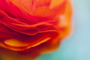 394312caaacca32a55ed4d45d633f6fd_s