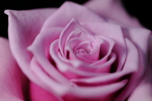 40bd08de153bc24eb5f749675136deb4_s