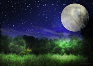 92bca15af5c467bb4a9093227a1eeaca_s