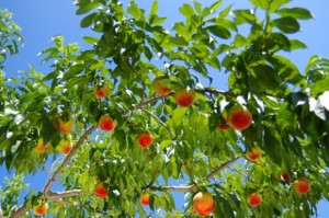 ab79edc70d7062de89de84eec025eaa0_s